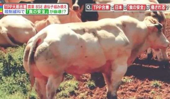 埼玉にある水素サロンセルくれんず|牛肉は大量生産できる食材ではない