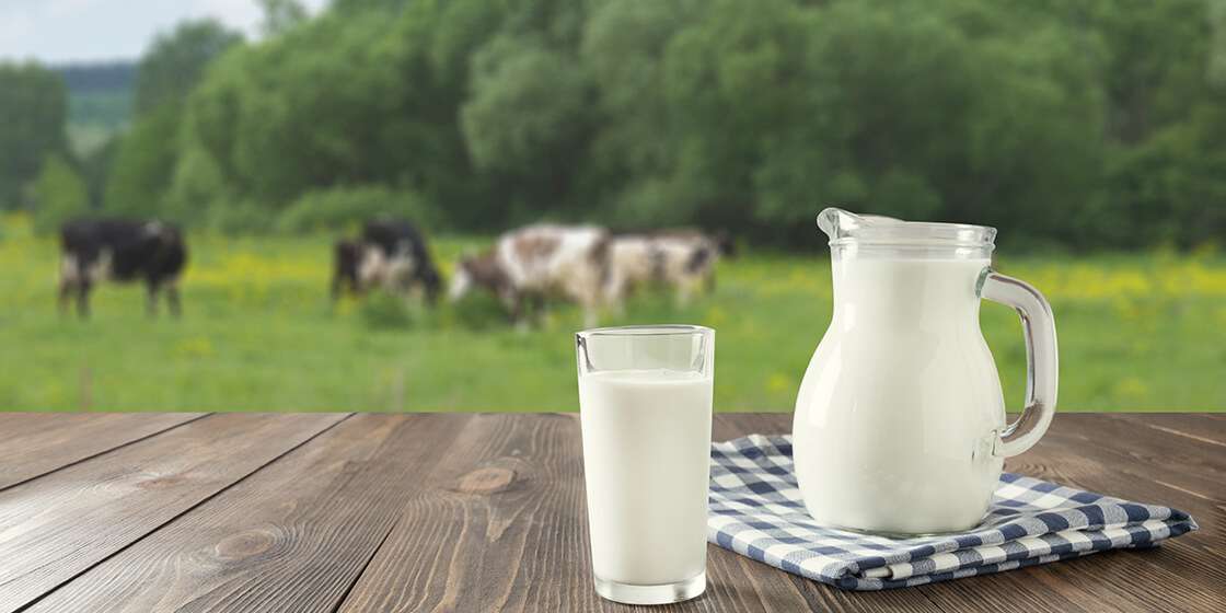 埼玉にある水素サロンセルくれんず|牛乳が人間にとって完全栄養食品であるという嘘